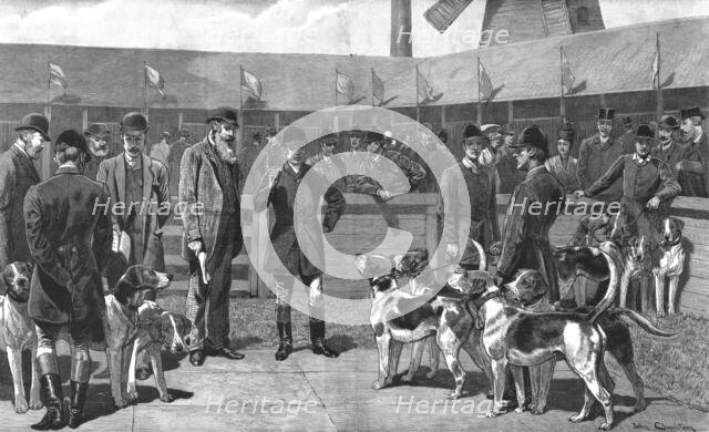 ''Peterborough Foxhound Show - Before the Judges, 1890. Creator: John Charlton.