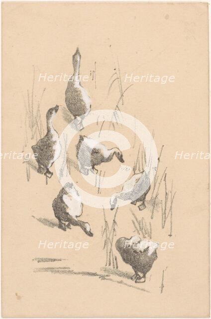 Greeting card with six geese, 1878-1917. Creator: Theo van Hoytema.