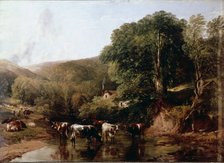  'A lush canyon with cattle' by T.S. Cooper.