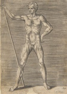 Flayed man seen from in front, holding a stick, ca. 1531-76. Creator: Giulio Bonasone.
