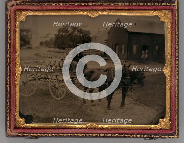 Untitled (Portrait of a Man Seated on top of a Horse-Drawn Carriage), 1859. Creator: Unknown.