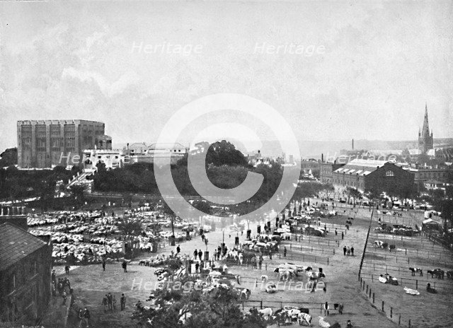 'Norwich Castle, Cattle Market and Cathedral', c1896. Artist: William Lewis Shrubsole.