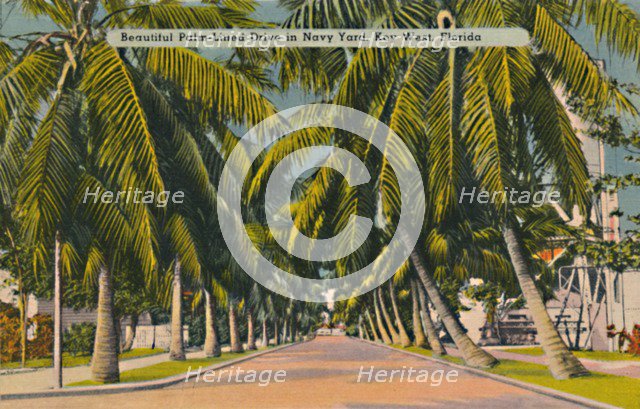 'Beautiful Palm-Lined Drive in Navy Yard, Key West, Florida', c1940s. Artist: Unknown.