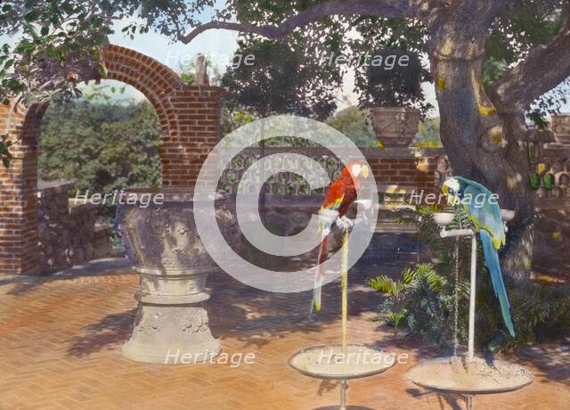 "Quiet Corner," John Wesley Baxter house, Dublin and Hill Roads, Greenwich, Connecticut, 1920. Creator: Frances Benjamin Johnston.