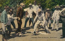 Habana. Rina de Gallos. Cock-fight, c.1900s. Artist: Unknown