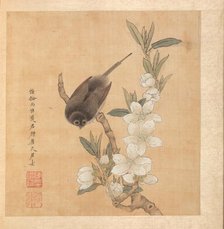 Paintings after Ancient Masters: A Bird and Peach-Blossom Branch, 1598-1652. Creator: Chen Hongshou (Chinese, 1598/99-1652).