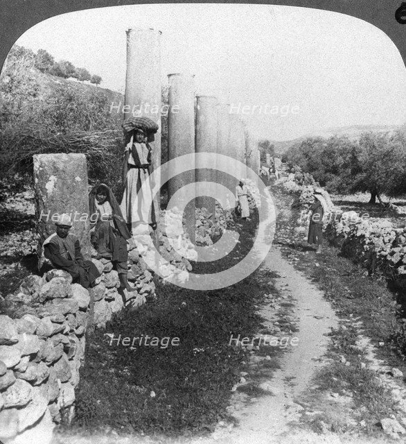 Herod's street of columns, Samaria, Palestine (Israel), 1905.Artist: Underwood & Underwood