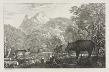 Wild Boar, Wildcat and Lynx, 1807. Creator: Maximilian Josef Wagenbauer (German, 1774-1829).