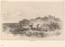 Le Repos. Creator: Karl Bodmer.