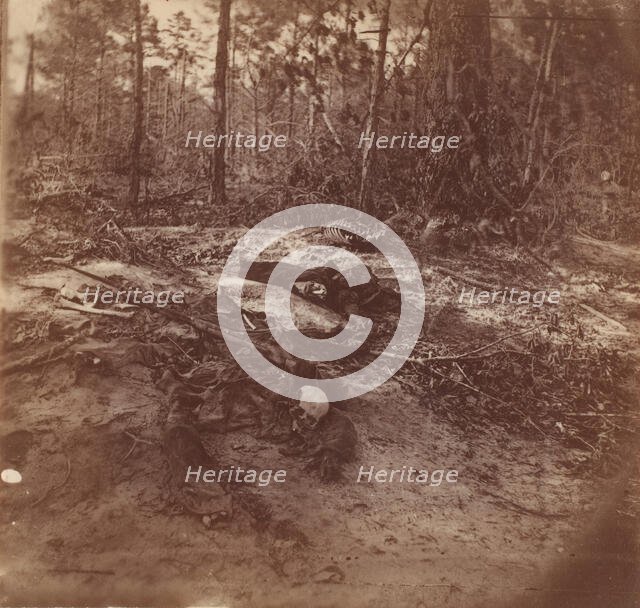 The Wilderness Battlefield, 1864. Creator: Unknown.