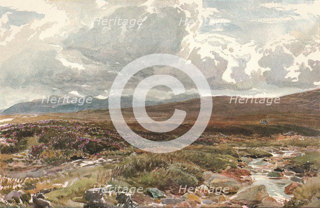 'A Sussex Common', c1889. Artist: Thomas Collier.