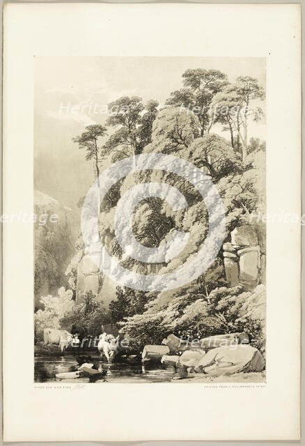Wych Elm and Firs, from The Park and the Forest, 1841. Creator: James Duffield Harding.