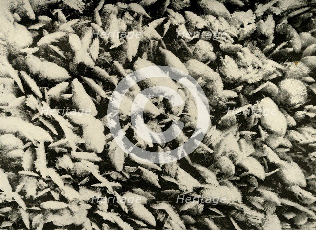 'Ice Crystals on roof of the Hut Porch', c1908, (1909). Artist: Unknown.