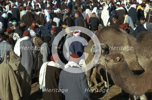 Camel market in Sousse.