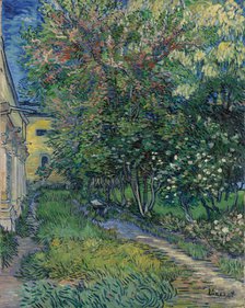 The garden at the asylum at Saint-Rémy, 1889.