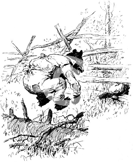 Illustration from the book The Complete Tales of Uncle Remus, by Joel Chandler Harris, 1895.  Artist: AB Frost
