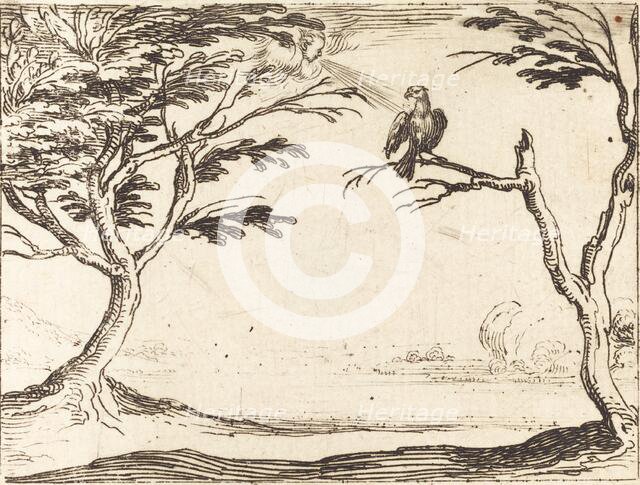 The Vulture. Creator: Jacques Callot.