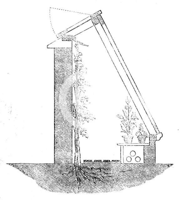 The International Exhibition: Weeks' glass wall, 1862. Creator: Unknown.