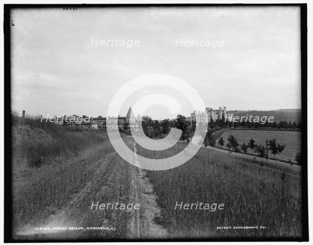 Insane asylum, Binghamton, N.Y., between 1890 and 1901. Creator: Unknown.
