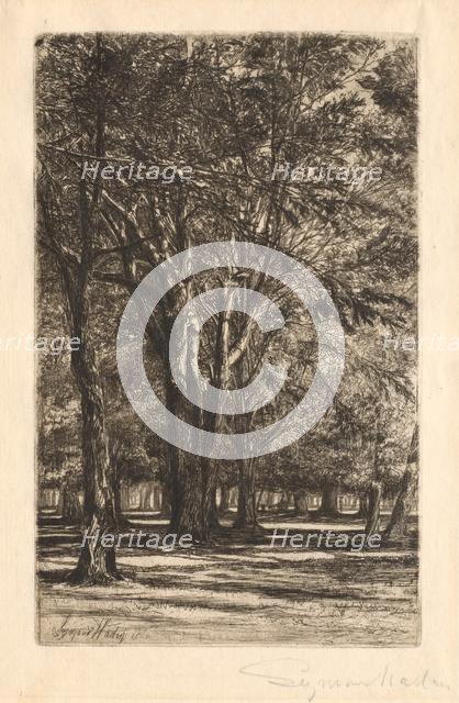 Kensington Gardens, No. 2 (Large Plate), 1860. Creator: Francis Seymour Haden (British, 1818-1910).