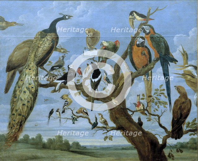 'Concert of Birds', oil Painting by Paul de Vos.