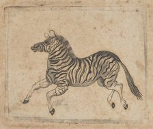 Banknote vignette showing a zebra, ca. 1824-37. Creator: Attributed to Asher Brown Durand.