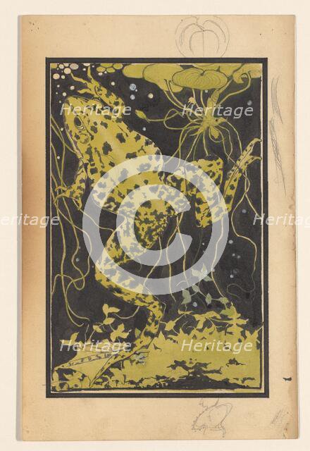 Frog in the water, 1887-1924. Creator: Julie de Graag.