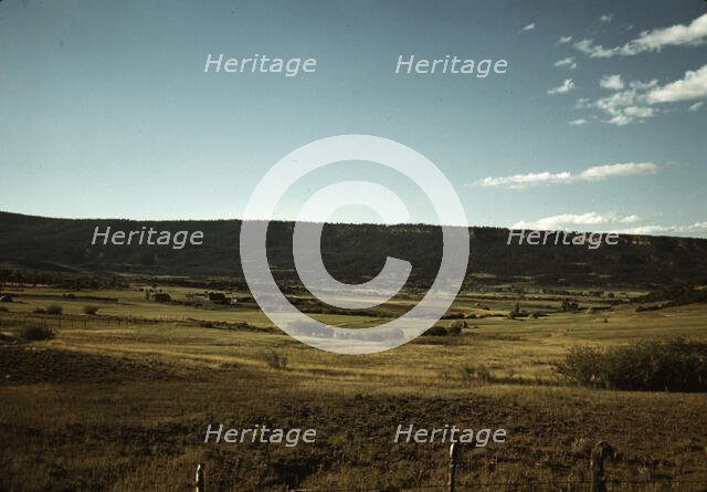 Farmland in Pleasant Valley near Ridgway, Ouray County, Colorado, 1940. Creator: Russell Lee.