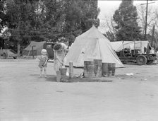 Texas drought refugees in cotton camp near Exeter, California, 1936. Creator: Dorothea Lange.