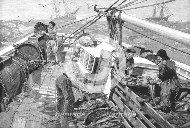 'The Newfoundland Cod Fishery; The "Parks," or Moveable Enclosures, on Board the Fishing...', 1891. Creator: Unknown.