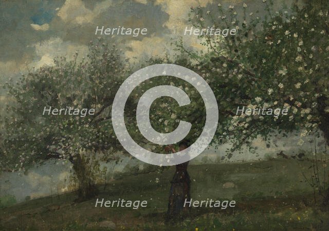Girl Picking Apple Blossoms, 1879. Creator: Winslow Homer.
