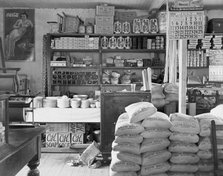 General store interior, Moundville, Alabama, 1936. Creator: Walker Evans.
