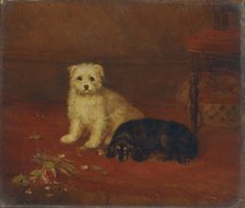 'Bad and Bijou', 1844-1857. Artist: BA Howe