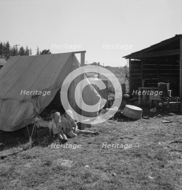 Possibly: Bean pickers' camp in grower's yard, near West Stayton, Marion County, Oregon, 1939. Creator: Dorothea Lange.