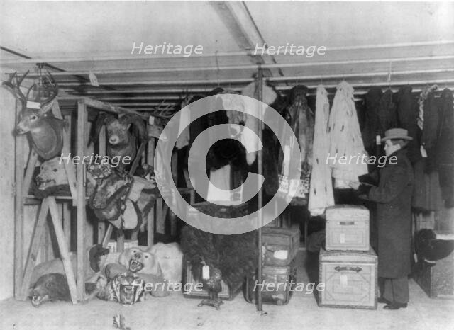 American Security & Trust Co. Washington, D.C., 1901. Creator: Frances Benjamin Johnston.