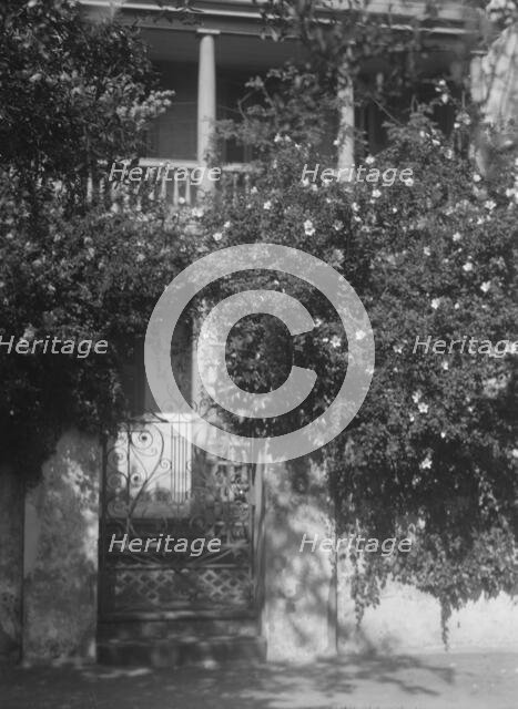 Gate to house garden, [George Eveleigh House, 39 Church Street], Charleston, South Ca..., c1920-1926 Creator: Arnold Genthe.