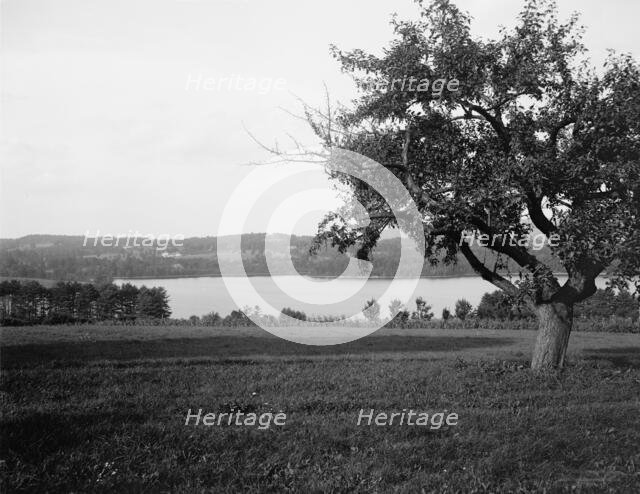 Laurel Lake, Westinghouse estate, Lenox, Mass., between 1910 and 1920. Creator: Unknown.