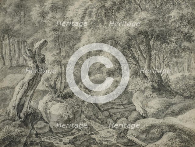 Forest with a stream running between large boulders. Creator: Anthonie Waterloo.