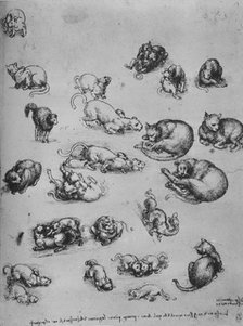 'Studies of Cats and of a Dragon', c1480 (1945). Artist: Leonardo da Vinci.