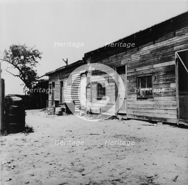 Housing of migrant berry pickers in southern New Jersey, 1936. Creator: Dorothea Lange.