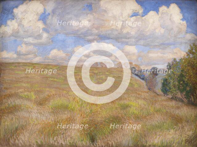 A Field of Waving Rye, 1894. Creator: Peter Hansen.