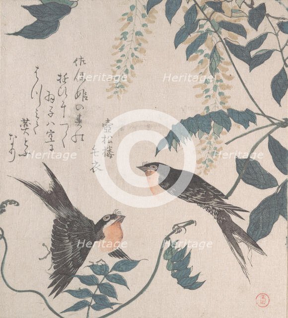 Swallows and Wisteria, 19th century. Creator: Kubo Shunman.