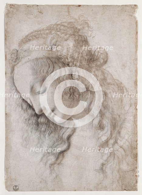 Study Of Female Face.