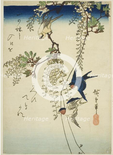 Swallow, yellow bird, and wisteria, 1830s-1840s. Creator: Ando Hiroshige.