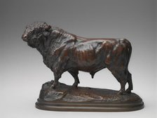 Standing Angus Bull, model second half 19th century. Creator: Isidore-Jules Bonheur.