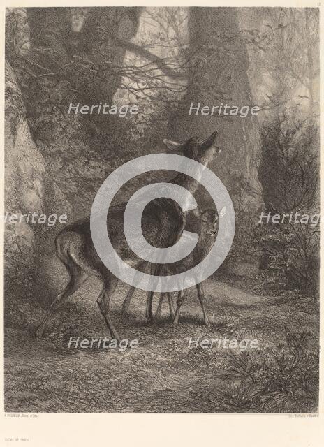 Biche et Faon. Creator: Karl Bodmer.