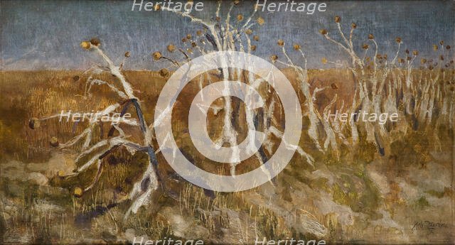 Musk Thistles, 1904. Creator: Kazimierz Sichulski.