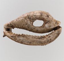 Shell, Frankish, 6th-7th century. Creator: Unknown.