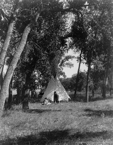 Camp in the cottonwoods-Cheyenne, c1910. Creator: Edward Sheriff Curtis.
