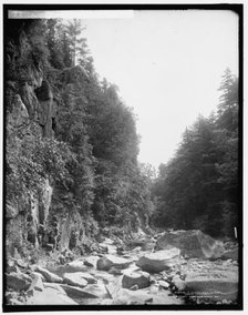 In Clarendon Gorge, Green Mountains, between 1900 and 1906. Creator: Unknown.